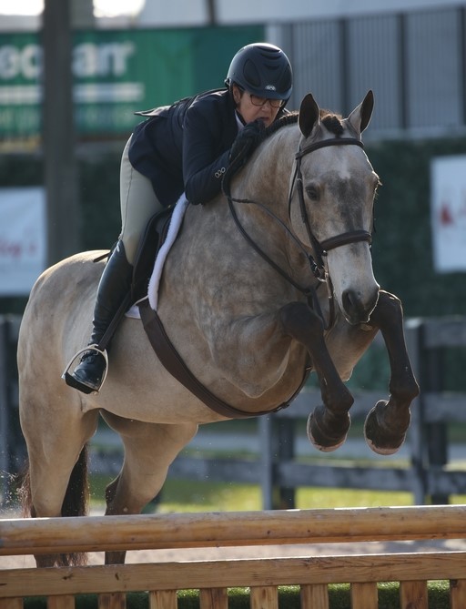 Fractured, displaced humerus is no showstopper for Lewensohn