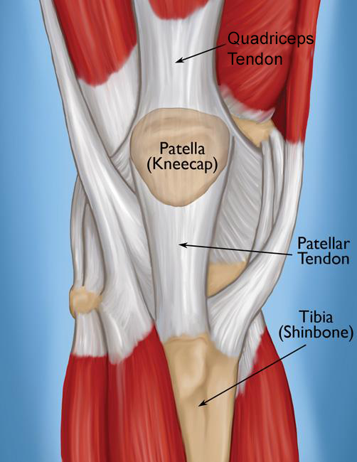 Chicago White Sox can’t “catch” a break with latest Grandal torn knee tendon injury