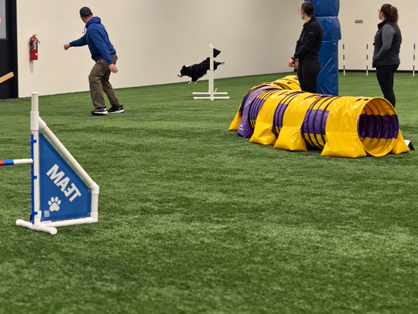 Back to Running and Dog Agility After Knee Surgery